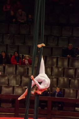 Sirk gösterisi parlak arena