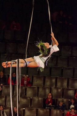 Sirk gösterisi parlak arena