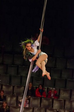 Sirk gösterisi parlak arena