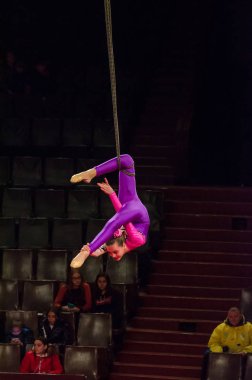 Sirk gösterisi parlak arena