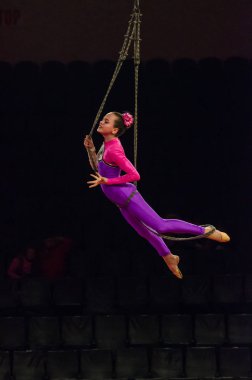 Sirk gösterisi parlak arena