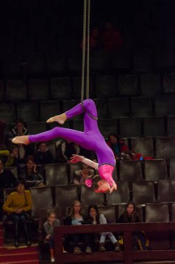 Sirk gösterisi parlak arena