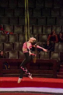 Sirk gösterisi parlak arena