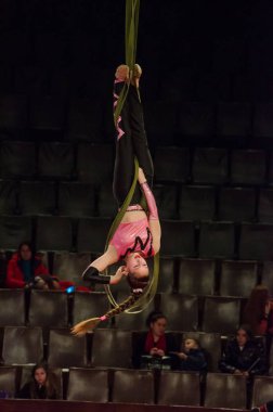 Sirk gösterisi parlak arena