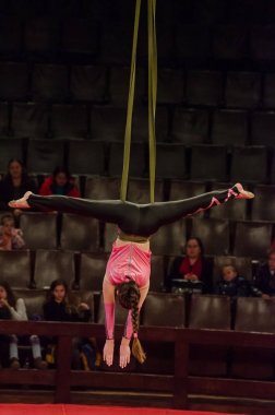 Sirk gösterisi parlak arena