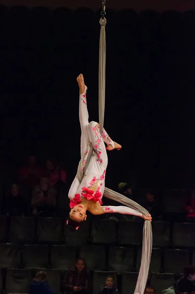 Circus show a bright arena — Stock Photo, Image