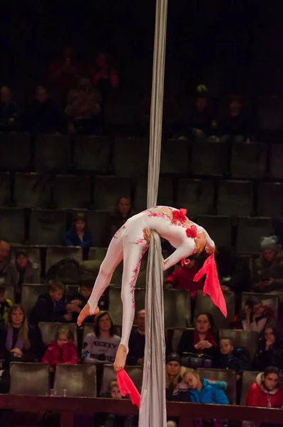 Cirkusová show světlé aréna — Stock fotografie