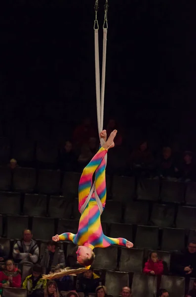 Cirkuszi előadás egy fényes arena — Stock Fotó