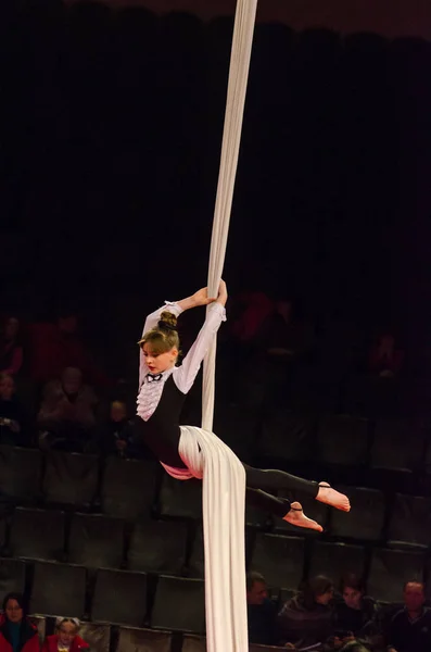 Circus show a bright arena — Stock Photo, Image