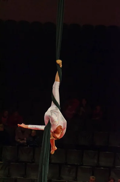 Circus show a bright arena — Stock Photo, Image