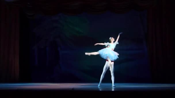 Dnipro Oekraïne Januari 2018 Notenkraker Ballet Uitgevoerd Door Leden Van — Stockvideo