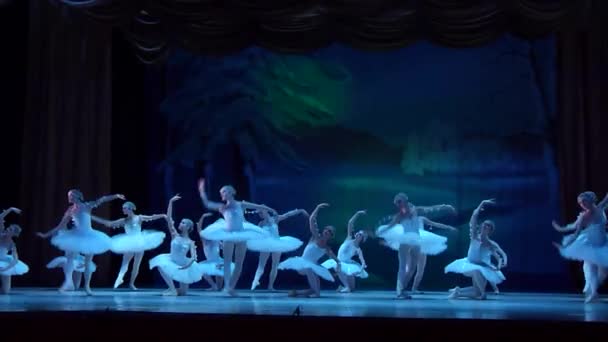Dnipro Oekraïne Januari 2018 Notenkraker Ballet Uitgevoerd Door Leden Van — Stockvideo