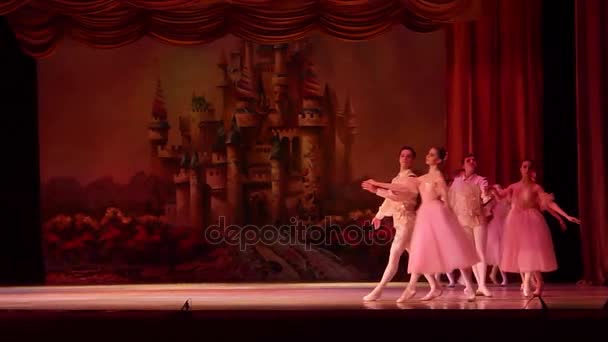 Hotel Dnipro Ukrajna 2018 Január Diótörő Balett Tagjai Dnipro Opera — Stock videók