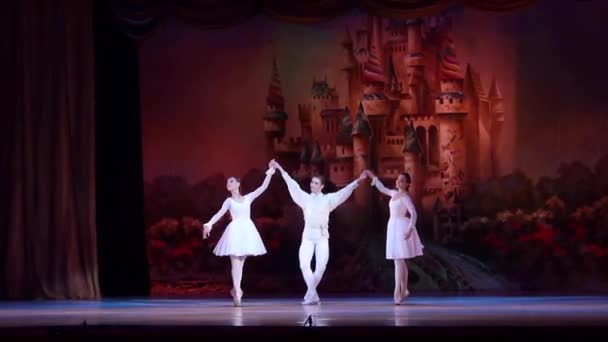 ドニプロ オペラ バレエ劇場バレエ団のメンバーによって実行されるドニエプル ウクライナ 2018 くるみ割り人形バレエ — ストック動画