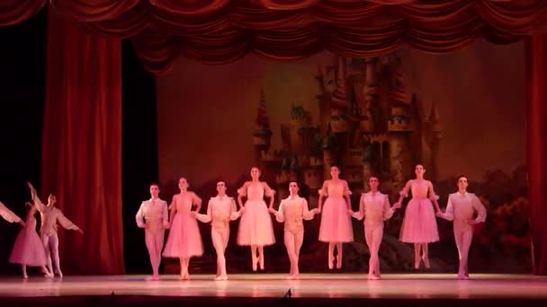 Dnipro Ucraina Gennaio 2018 Balletto Schiaccianoci Eseguito Dai Membri Del — Video Stock