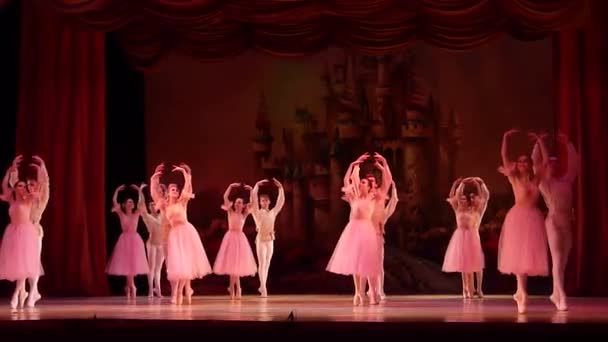 Dnipro 乌克兰 2018年1月6日 胡桃夹子芭蕾舞表演的成员 Dnipro 歌剧和芭蕾舞剧院芭蕾舞团 — 图库视频影像