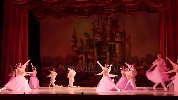 Dnipro Ukraine Ianuarie 2018 Balet Spărgător Nuci Interpretat Membrii Baletului — Videoclip de stoc