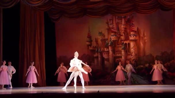 Dnipro Ukraine January 2018 Nutcracker Ballet Performed Members Dnipro Opera — Stock Video