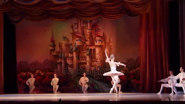 Dnipro Ucrania Enero 2018 Ballet Cascanueces Interpretado Por Miembros Del — Vídeos de Stock