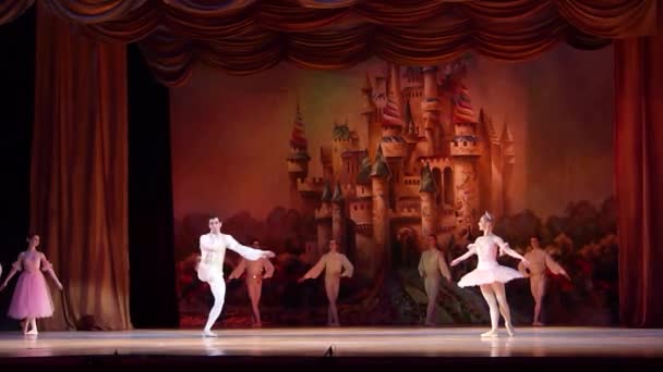 Dnipro Ucrania Enero 2018 Ballet Cascanueces Interpretado Por Miembros Del — Vídeos de Stock