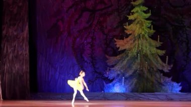 Dnipro, Ukrayna - 8 Ocak 2018: A.Mikhaylets, 10 yaşında yaş, çeşitleri, peri özgürlüğü Devlet Opera ve bale Tiyatrosu gerçekleştirir.  