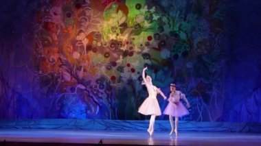 Dnipro, Ukrayna - 8 Ocak 2018: M.Prohoda ve A.Chesnova, yaşları 11 yaşında varyasyonları Pas de Trois bale Kuğu Gölü, Devlet Opera ve bale Tiyatrosu gerçekleştirmek.  