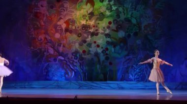 Dnipro, Ukrayna - 8 Ocak 2018: M.Prohoda ve A.Chesnova, yaşları 11 yaşında varyasyonları Pas de Trois bale Kuğu Gölü, Devlet Opera ve bale Tiyatrosu gerçekleştirmek.  