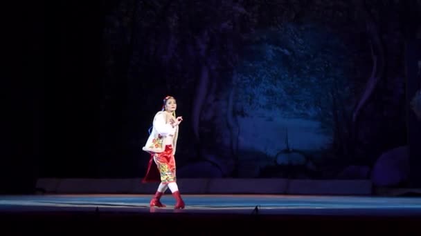 Dnipro Ukraine January 2018 Night Christmas Ballet Yang Ditampilkan Oleh — Stok Video