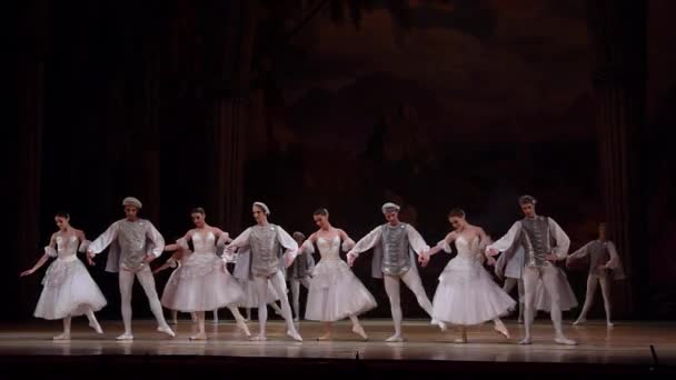 Dnipro Ucrania Marzo 2018 Ballet Swan Lake Interpretado Por Miembros — Vídeo de stock