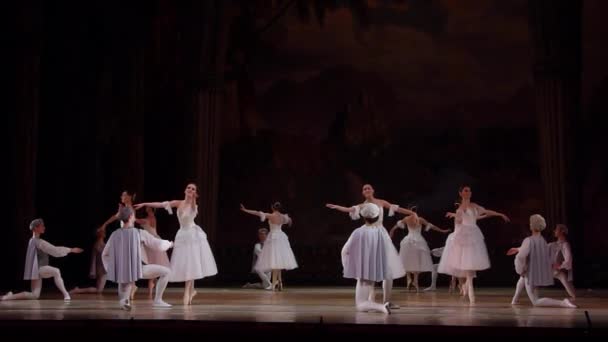 Dnipro Ukraine März 2018 Schwanensee Ballett Mit Mitgliedern Der Staatsoper — Stockvideo