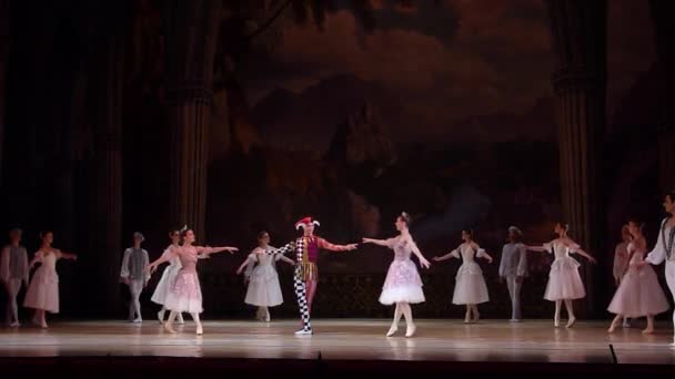 Dnipro 乌克兰 2018年3月17日 Dnipro 国家歌剧院和芭蕾舞剧院成员表演的天鹅湖芭蕾舞团 — 图库视频影像