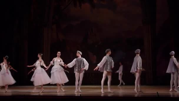 Dnipro Ukraine Mars 2018 Ballet Swan Lake Interprété Par Des — Video