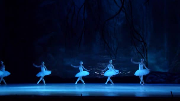 Dnipro Ucraina Marzo 2018 Balletto Del Lago Dei Cigni Eseguito — Video Stock