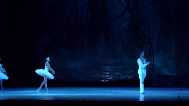 Dnipro Ucrânia Março 2018 Balé Swan Lake Realizado Por Membros — Vídeo de Stock