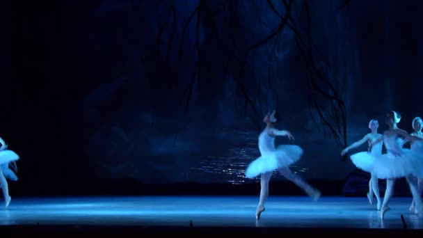 Dnipro Ucrania Marzo 2018 Ballet Swan Lake Interpretado Por Miembros — Vídeos de Stock