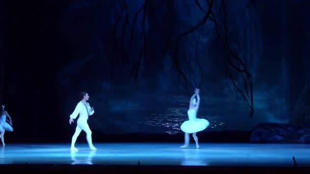 Dnipro Ucraina Marzo 2018 Balletto Del Lago Dei Cigni Eseguito — Video Stock