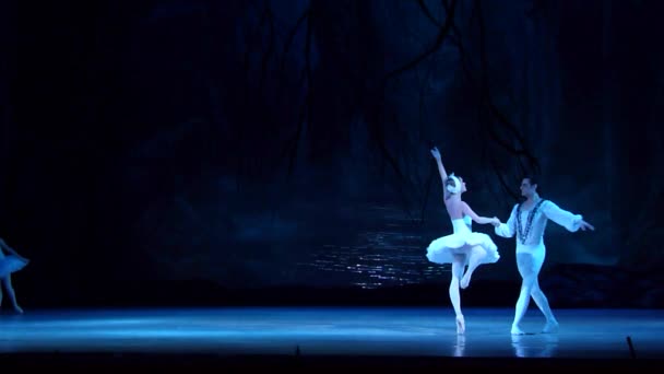 Dnipro Ukraine March 2018 Swan Lake Ballet Performed Members Dnipro — Stock Video
