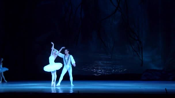 Dnipro Oekraïne Maart 2018 Zwanenmeer Ballet Uitgevoerd Door Leden Van — Stockvideo
