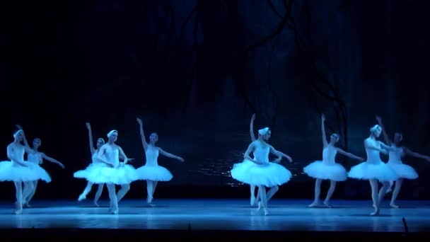 Dnipro Ucrania Marzo 2018 Ballet Swan Lake Interpretado Por Miembros — Vídeos de Stock