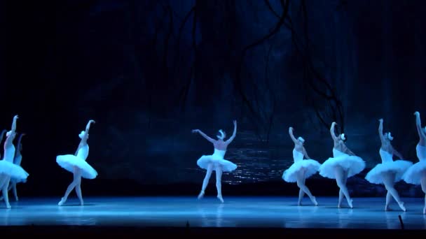 Dnipro Ukraine Mars 2018 Ballet Swan Lake Interprété Par Des — Video