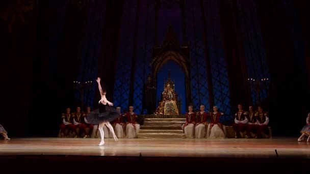 Dnipro Ukraine Mars 2018 Ballet Swan Lake Interprété Par Des — Video