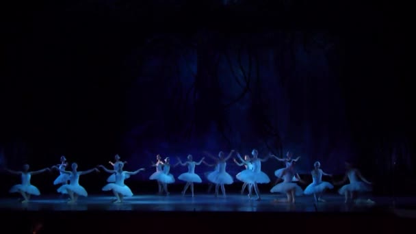 Dnipro Ucrania Marzo 2018 Ballet Swan Lake Interpretado Por Miembros — Vídeos de Stock