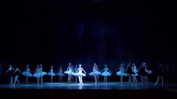 Dnipro Ucrania Marzo 2018 Ballet Swan Lake Interpretado Por Miembros — Vídeos de Stock