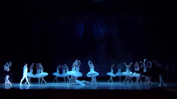 Dnipro Ucrania Marzo 2018 Ballet Swan Lake Interpretado Por Miembros — Vídeos de Stock