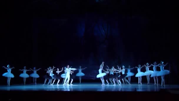 Dnipro Ukraine Mars 2018 Ballet Swan Lake Interprété Par Des — Video