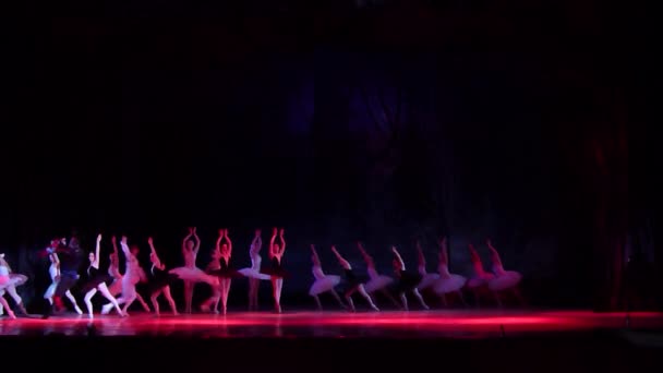Dnipro Ukraine März 2018 Schwanensee Ballett Mit Mitgliedern Der Staatsoper — Stockvideo