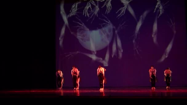Dnipro 乌克兰 2018年3月23日 Dnipro 国家歌剧院和芭蕾舞剧院的国家芭蕾舞团成员表演的夜间芭蕾舞的儿童 — 图库视频影像
