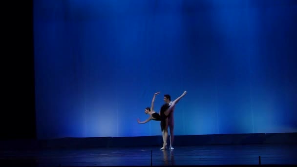 Dnipro Ukraine Martie 2018 Balet Swan Lake Interpretat Membrii Baletului — Videoclip de stoc