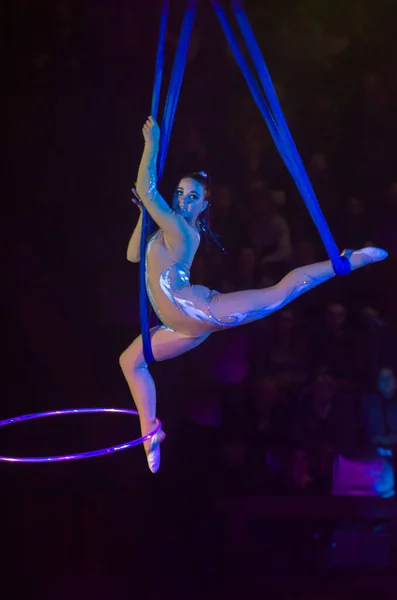 Nuit au cirque — Photo