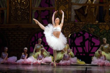 DNIPROPETROVSK, UKRAINE - 23 Ekim: Le Corsaire balesi Dnepropetrovsk Opera ve Bale Tiyatrosu tarafından 23 Ekim 2011 'de Dnipropetrovsk, Ukrayna' da sahnelendi..